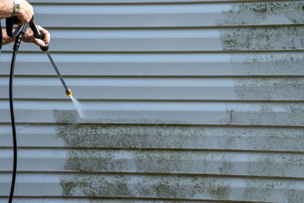 Affordable siding repair and maintenance services in Cut Bank, MT