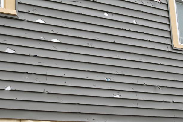 Best Siding Removal and Disposal  in Cut Bank, MT